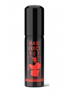  Maxi Erect 907 - Men Avenue - SexShop Gay