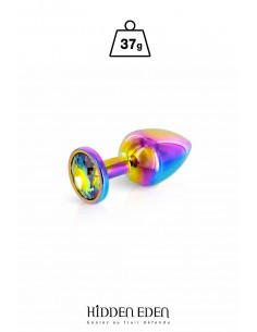  Plug bijou aluminium Rainbow XS - Hidden Eden - Men Avenue - SexShop Gay
