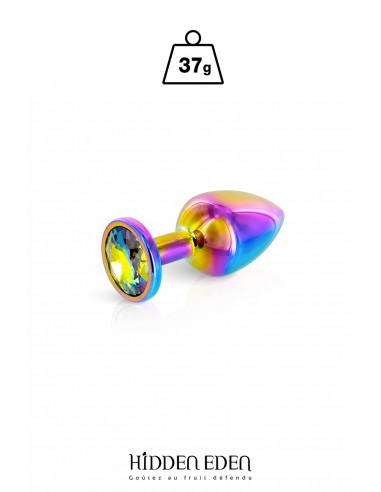  Plug bijou aluminium Rainbow XS - Hidden Eden - Men Avenue - SexShop Gay