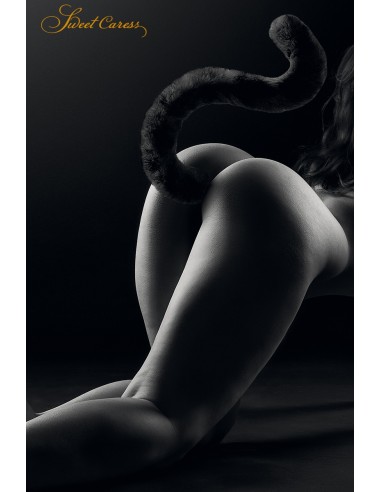  Plug noir queue de chat - Sweet Caress - Men Avenue - SexShop Gay