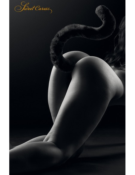  Plug noir queue de chat - Sweet Caress - Men Avenue - SexShop Gay