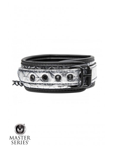  Collier argenté avec laisse - Master Series - Men Avenue - SexShop Gay