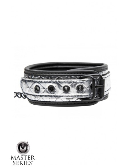  Collier argenté avec laisse - Master Series - Men Avenue - SexShop Gay