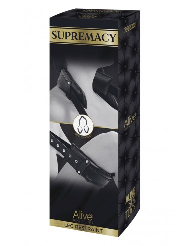  Contrainte de cuisses Supremacy - Alive - Men Avenue - SexShop Gay