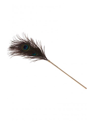  Plumeau à caresses Peacock Tickler - Taboom - Men Avenue - SexShop Gay