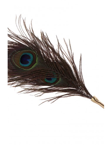  Plumeau à caresses Peacock Tickler - Taboom - Men Avenue - SexShop Gay