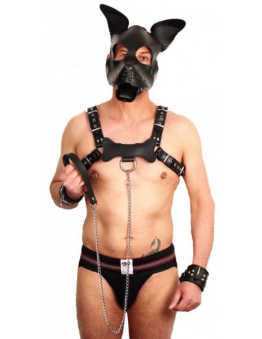 Laisse avec poignée Cuir 1m Noir