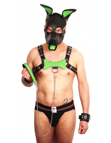 Laisse avec Poignée en cuir 1m Vert