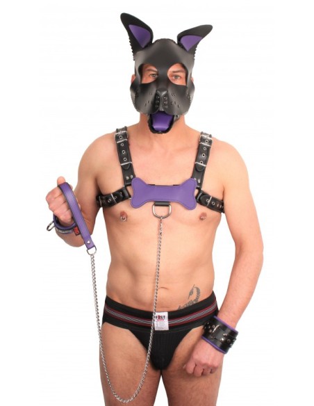 Laisse avec poignée en cuir 1m Violet