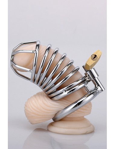 Cage à pénis Snake Shape - XXX Dreamtoys