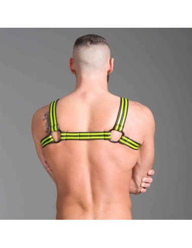 Harnais en néoprène Noir Vert