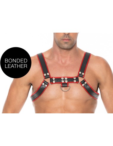 Harnais Chest Bulldog Noir-Rouge