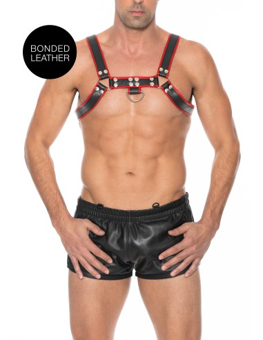 Harnais Chest Bulldog Noir-Rouge