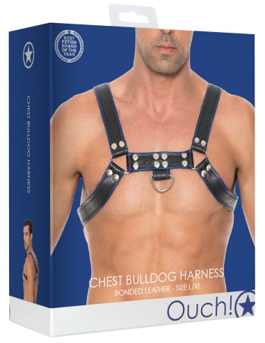 Harnais Chest Bulldog Noir-Bleu