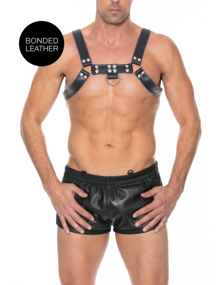 Harnais Chest Bulldog Noir-Bleu