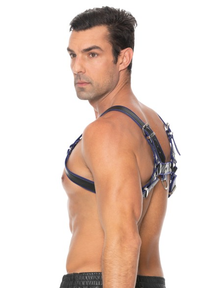 Harnais Chest Bulldog Noir-Bleu