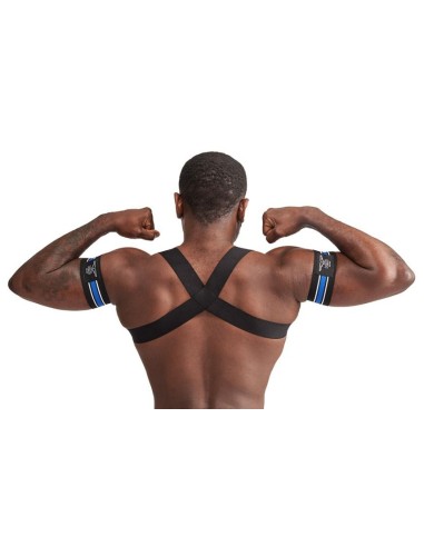 Harnais élastique X-Back Noir-Bleu