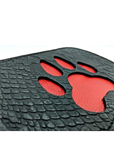 Paddle Puppy Paw 2