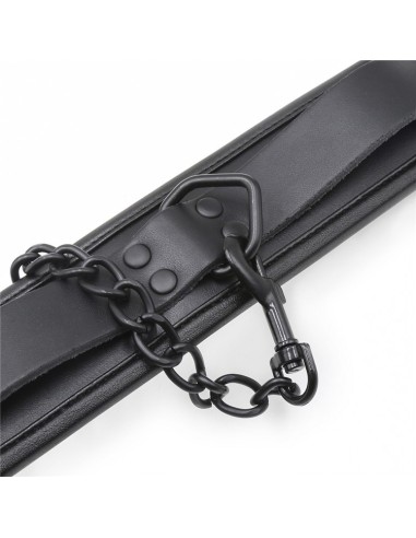 Collier Epais + Laisse