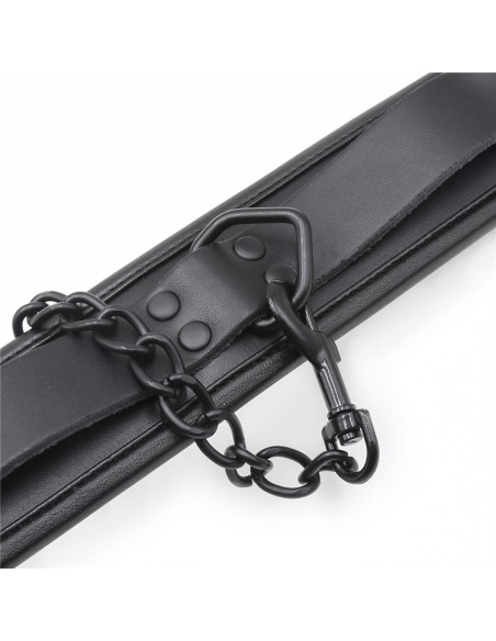 Collier Epais + Laisse