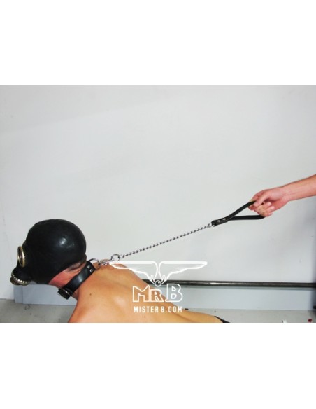 Laisse Dog avec Chaîne de 45cm